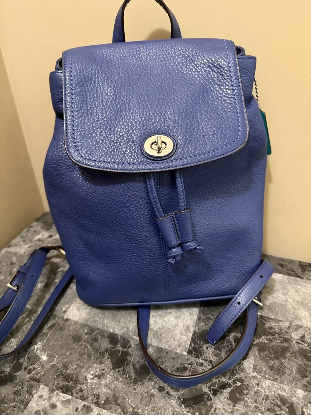 Coach Park Leather Backpack French Blue Royal Teal Lining Mini Shoulder Bag